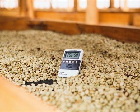 Guatemala Luis Pedro Zelaya Espresso