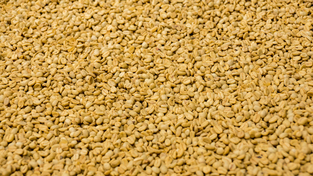 Mexico Veracruz Espresso