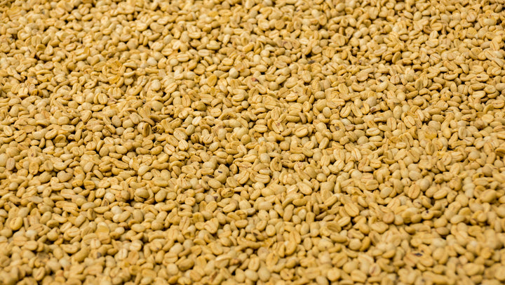 Mexico Veracruz Espresso